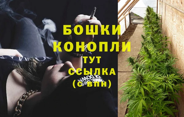 СК Покачи