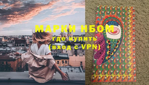 СК Покачи