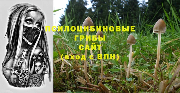 соль курить ск Покровск