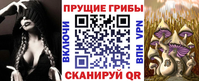 Галлюциногенные грибы MAGIC MUSHROOMS  купить наркоту  Алупка 